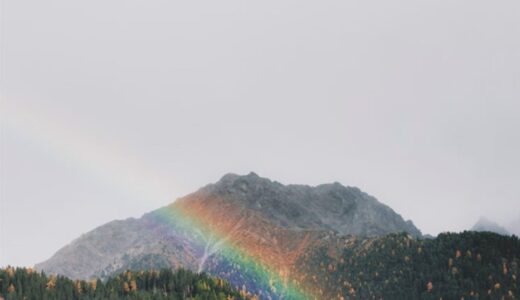 CHARM（チャーム）で返金は可能？被害時の対応ステップを徹底解説